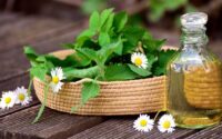 Jesus Healing Christian Herbal Conference
