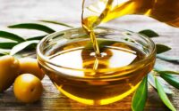Christian Herbal Medicine Herbalist Guild Conference 2025